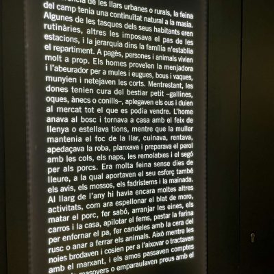 IMG_0798-1800.jpg