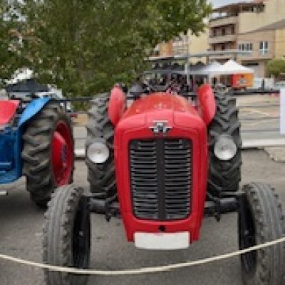 IMG_8447.jpg