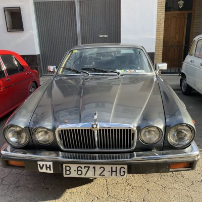 IMG_7590 Large.jpeg